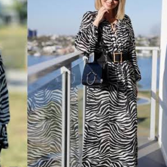 TIGERLILY Zoya Zebra Print Long Sleeve Maxi Dress NWT RRP$299 - Picture 13 of 16
